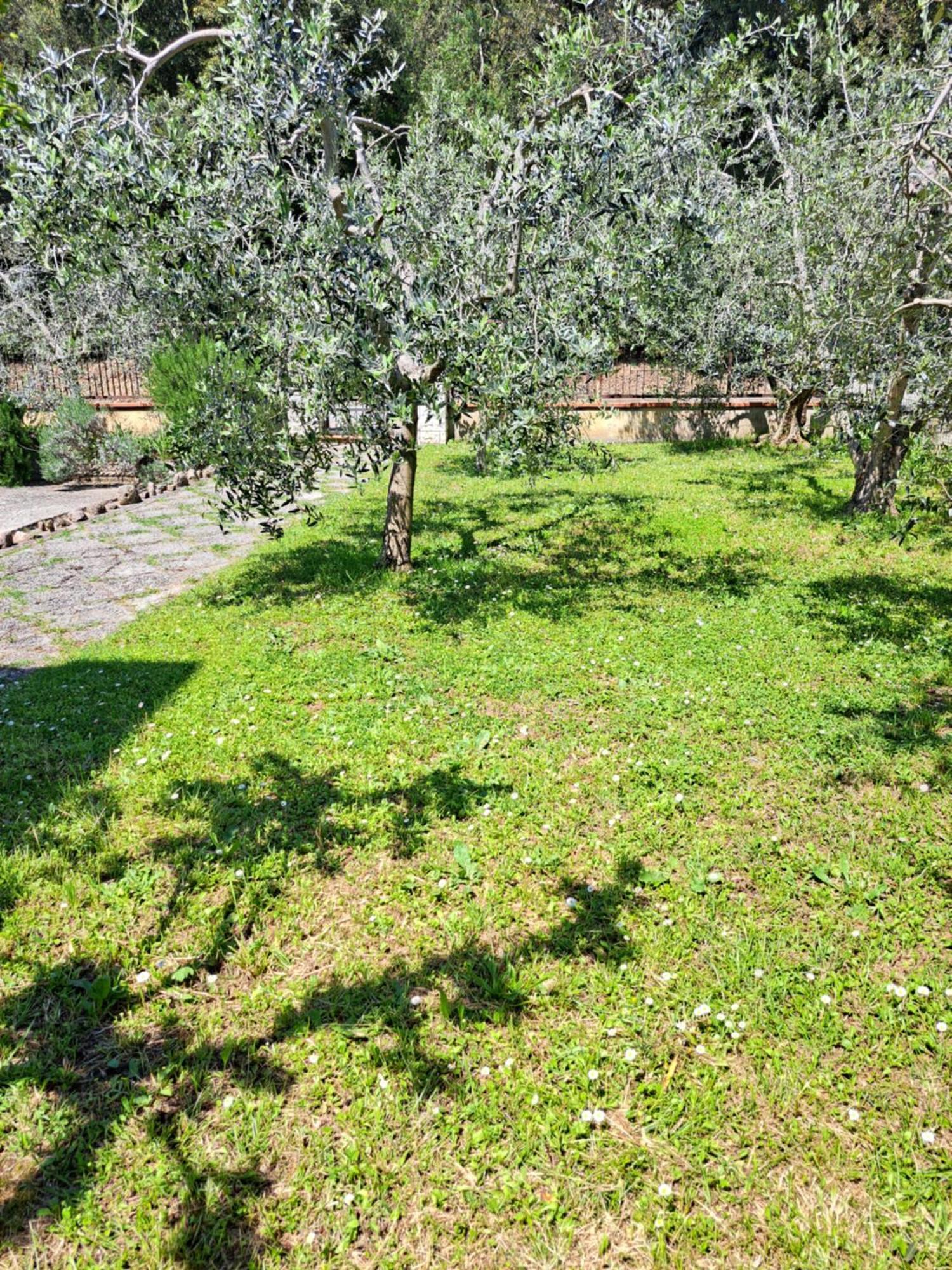 Villa Casa Gli Ulivi à Montepulciano Stazione Extérieur photo