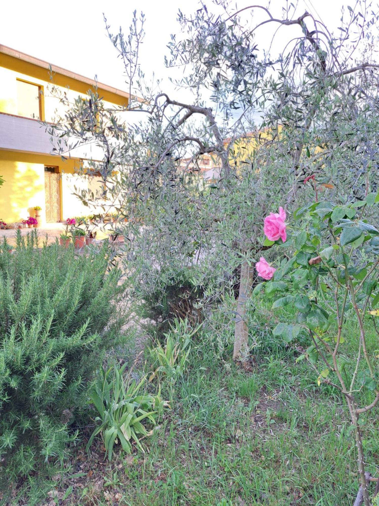 Villa Casa Gli Ulivi à Montepulciano Stazione Extérieur photo