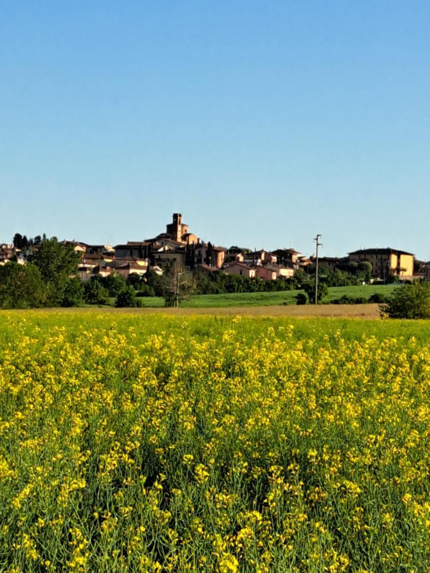 Villa Casa Gli Ulivi à Montepulciano Stazione Extérieur photo